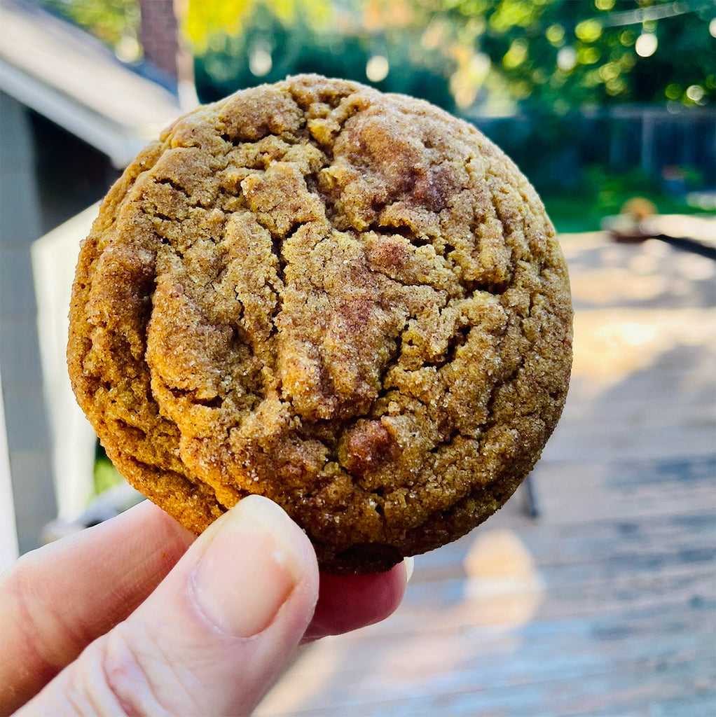 Honey Spiced Pumpkin Cookies